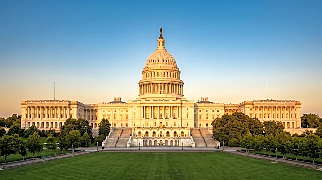 Congressman Raja Krishnamoorthi Condemns Texas Politician's Anti-South Asian Post