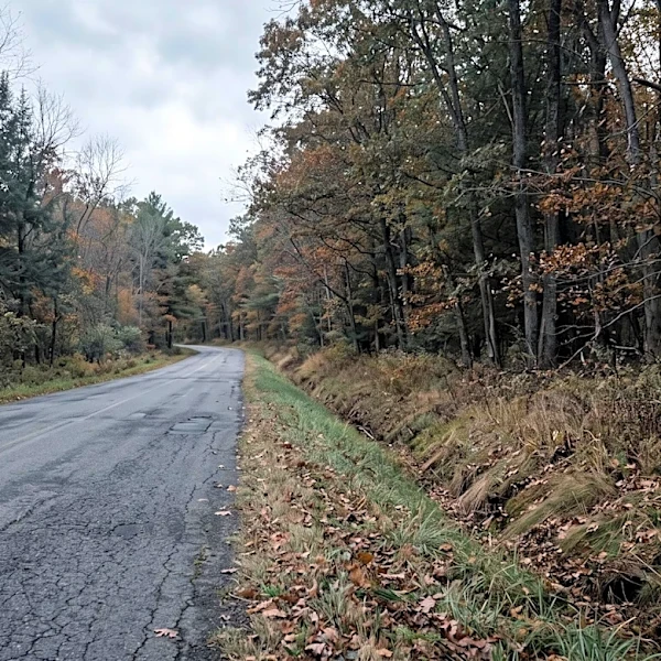 Teenager Dies in Wayne County Motorcycle Crash, Identified by New York State Police