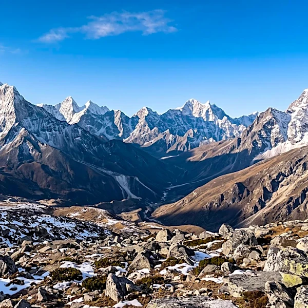 New Study Confirms Gondwana's Supercontinent Status, Linking Its Formation to Cambrian Explosion