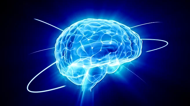 New Study Links GLP-1 Weight Loss Drugs to Rare Brain Condition