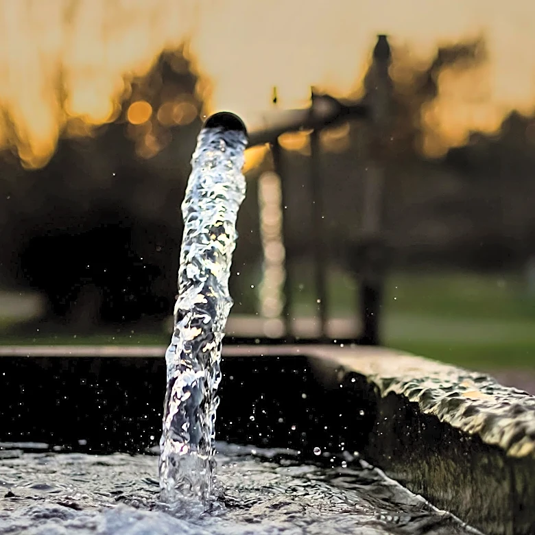 Durham Water Feature Identified as Likely Source of Fatal 'Brain-Eating' Amoeba Infection