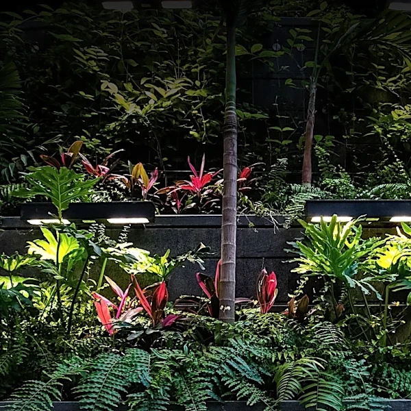 Vertical Gardens Offer Sustainable Urban Greenery and Stormwater Management