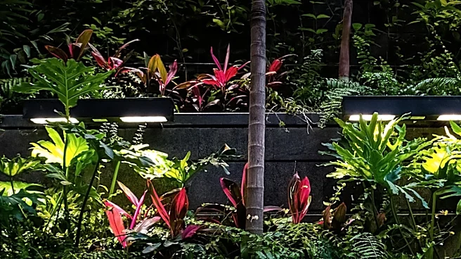 Vertical Gardens Offer Sustainable Urban Greenery and Stormwater Management