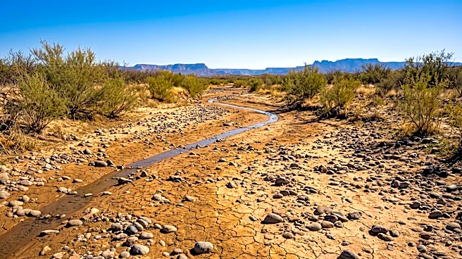 U.S. Forest Service Faces Challenge Over Public Land Degradation Caused by Private Wells in Arizona
