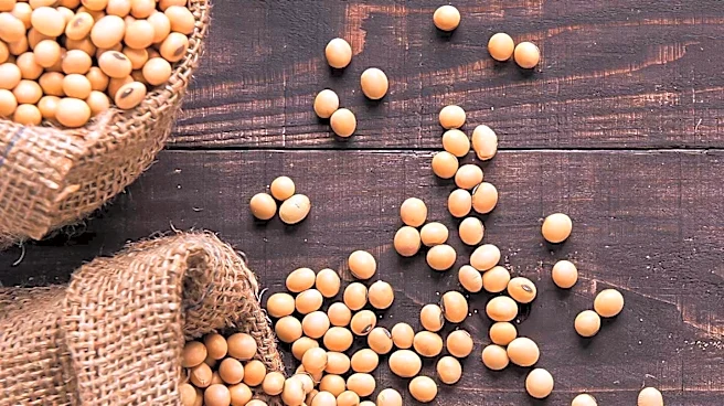 Congressman Don Davis Urges President Trump to Secure Timeline for China's Soybean Purchases