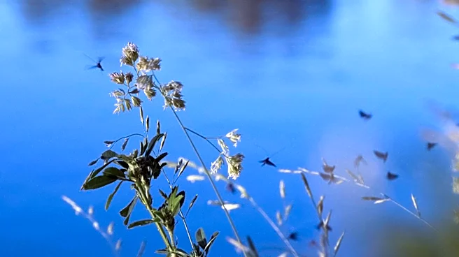 National Park Service Monitors Invasive Plants and Water Quality in 16 Units