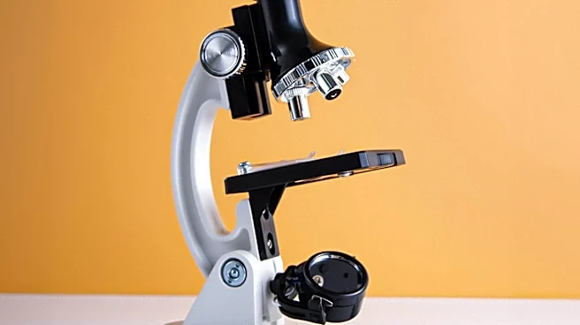 Stratified Medicine Advances in Oncology with Focus on Rare Cancers and Drug Repurposing