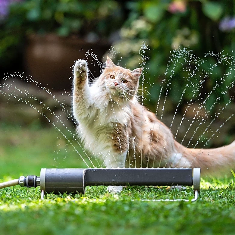 PAWS Animal Welfare Society Receives Donated Fire Sprinkler System After 2024 Fire