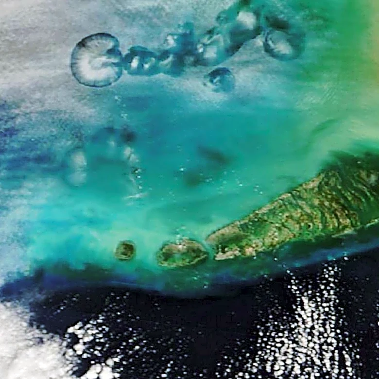 Promise Fund Addresses Declining Cervical Cancer Screening Rates in South Florida