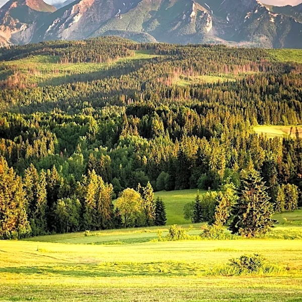 House Approves Ackerson Meadow Land Transfer Bill to Simplify Federal Management