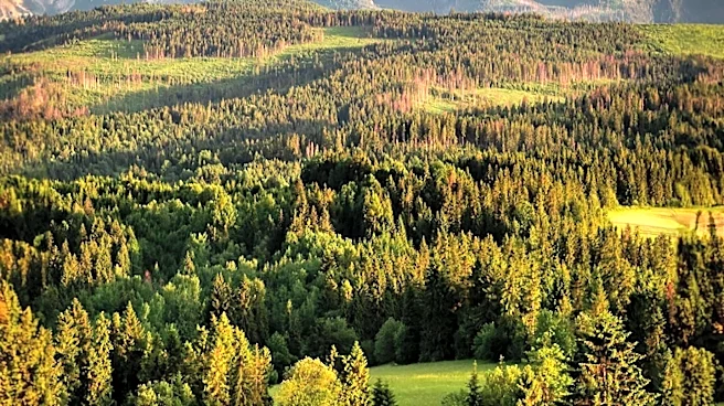 House Approves Ackerson Meadow Land Transfer Bill to Simplify Federal Management