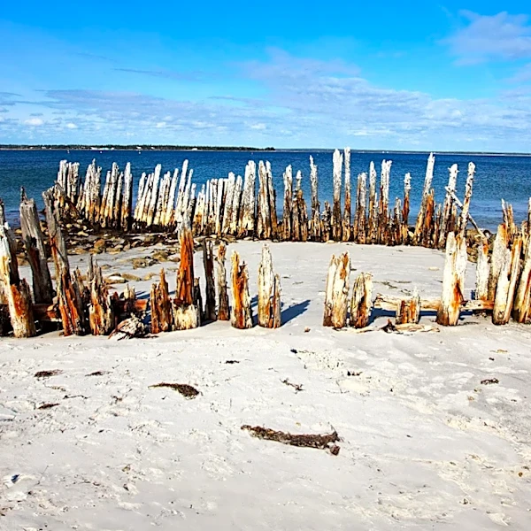 Cumberland Island's Rich History Explored as a Wild and Untamed Barrier Island