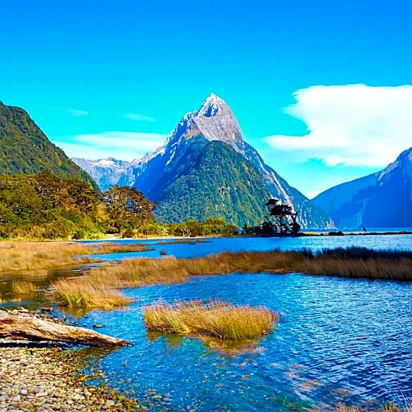New Zealand Pioneers Regenerative Tourism, Aiming for Zero-Carbon Visitor Economy by 2030