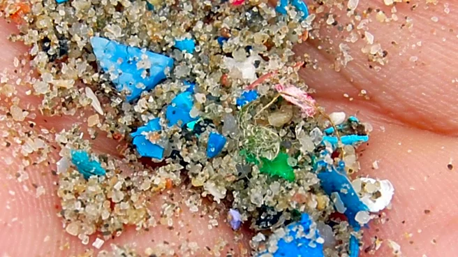 Challenges Persist in Accurately Measuring Microplastics in the Brain