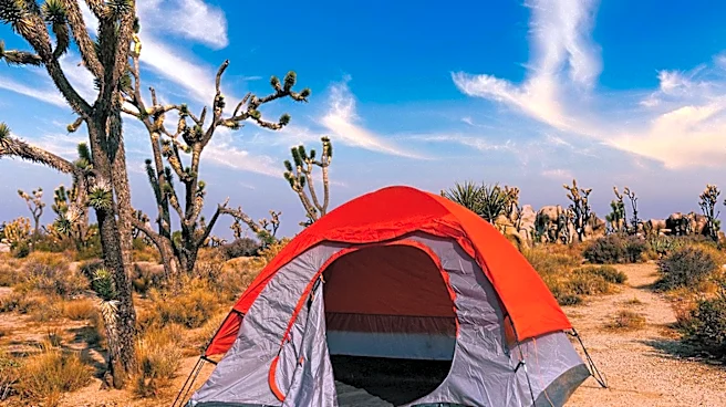 Joshua Tree National Park Offers Diverse Activities and Accommodation Options for Visitors