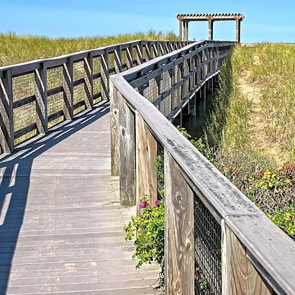 Indiana Dunes National Park Implements Detour for West Beach Access Due to Railroad Construction