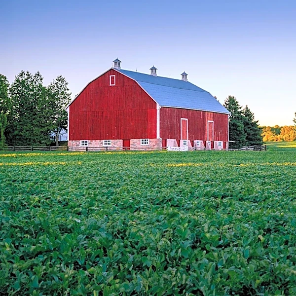 Rural Ohio Seeks Solutions Over Slogans for Community Challenges