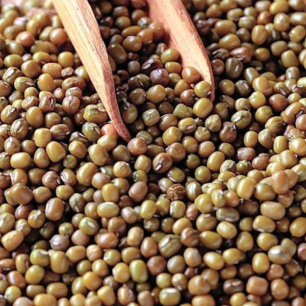 University of Queensland Scientists Discover Mungbean Genetics Significantly Impact Following Wheat Crop Yields