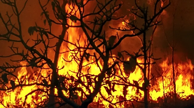 Wildfire Prompts Evacuations in Logan County, Arkansas