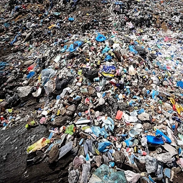 New York City Department of Sanitation Details Complex Waste Management Schedule to Avoid Fines
