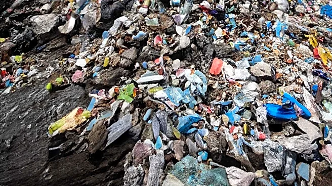 New York City Department of Sanitation Details Complex Waste Management Schedule to Avoid Fines