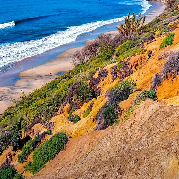 Torrey Pines State Natural Reserve Announces Temporary Closure for Multi-Year Improvement Project