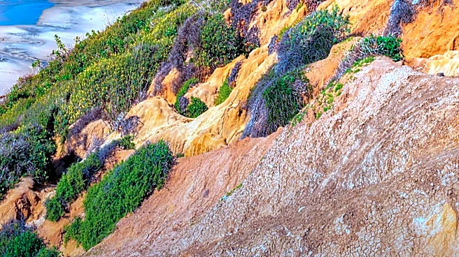 Torrey Pines State Natural Reserve Announces Temporary Closure for Multi-Year Improvement Project