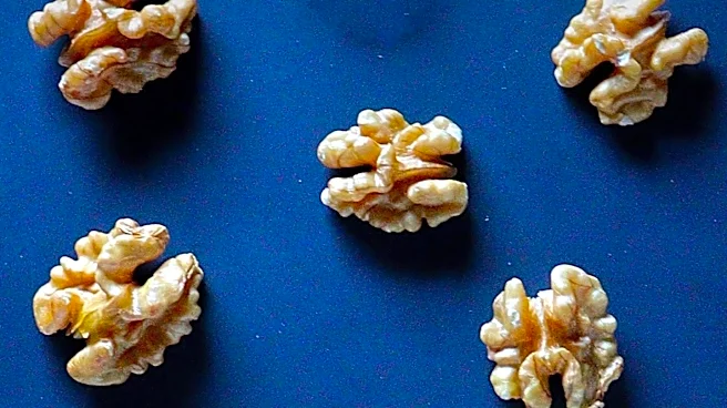 New Study Links Nut Consumption to Improved Brain Health, Especially for Individuals with Lower Diet Quality