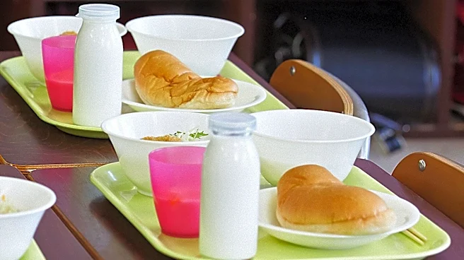 Tyson Foods' Summer Meal Pilot Program Reveals Significant Gaps in Child Food Access During Summer Months