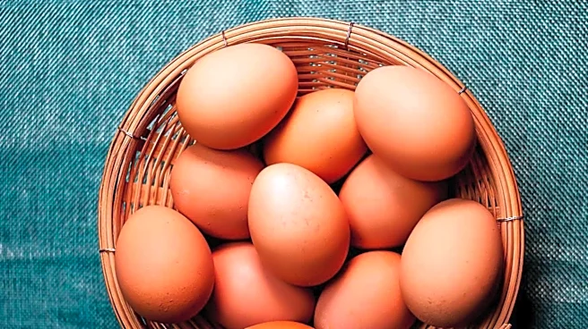 Eggs Recognized as Nutritional Powerhouse, Offering Complete Protein and Essential Micronutrients