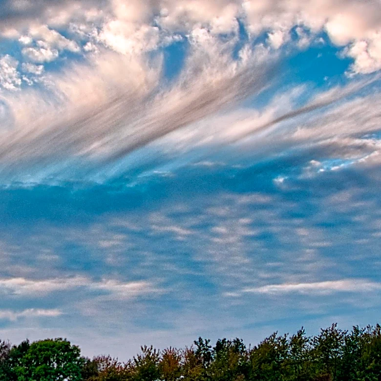 Stratocumulus Clouds Identified as Low-Altitude, Puffy Layers with Diverse Formations