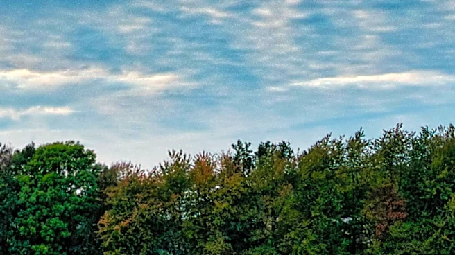 Stratocumulus Clouds Identified as Low-Altitude, Puffy Layers with Diverse Formations