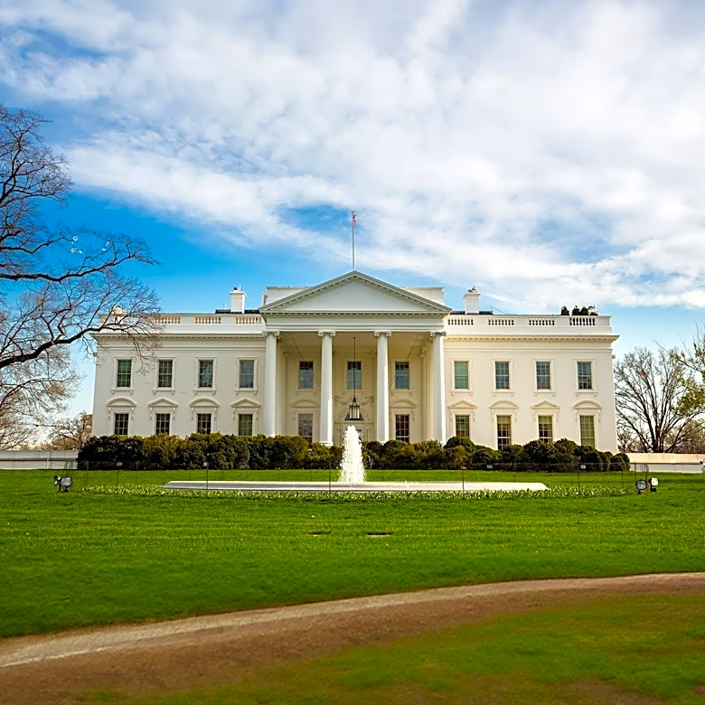 Individual Detained After Driving Vehicle onto Sidewalk Near White House and Lafayette Square