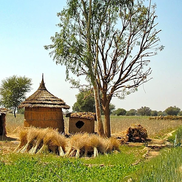 African Development Bank Launches US$87 Million Agrifood Resilience Program in Sudan