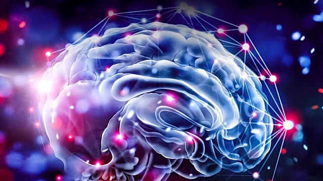 Blood-Brain Barrier Dysfunction Linked to Major Psychiatric Disorders in New Review