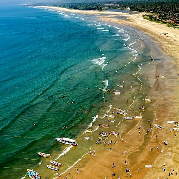 Tourists Rescued from Oregon Beach After Being Trapped by Rising Tide While Taking Photos