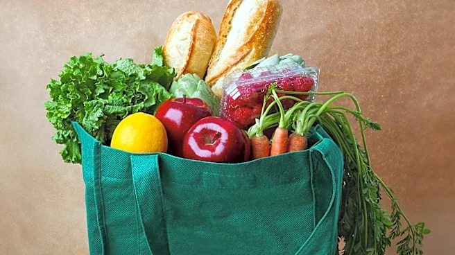 San Francisco Mayor Daniel Lurie Proposes New Office to Centralize City's Food Security Efforts