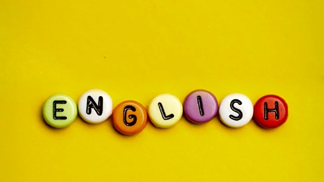 Understanding the Nuances of 'Family's' vs. 'Families' in English Grammar