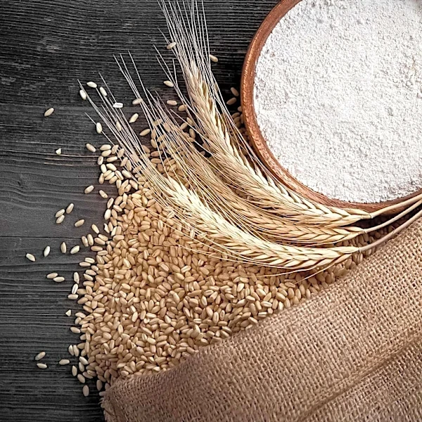 Whole Grain Consumption Linked to Improved Cardiovascular Health Factors