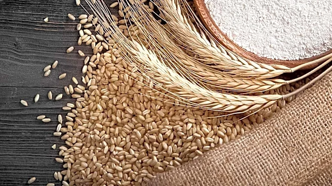 Whole Grain Consumption Linked to Improved Cardiovascular Health Factors