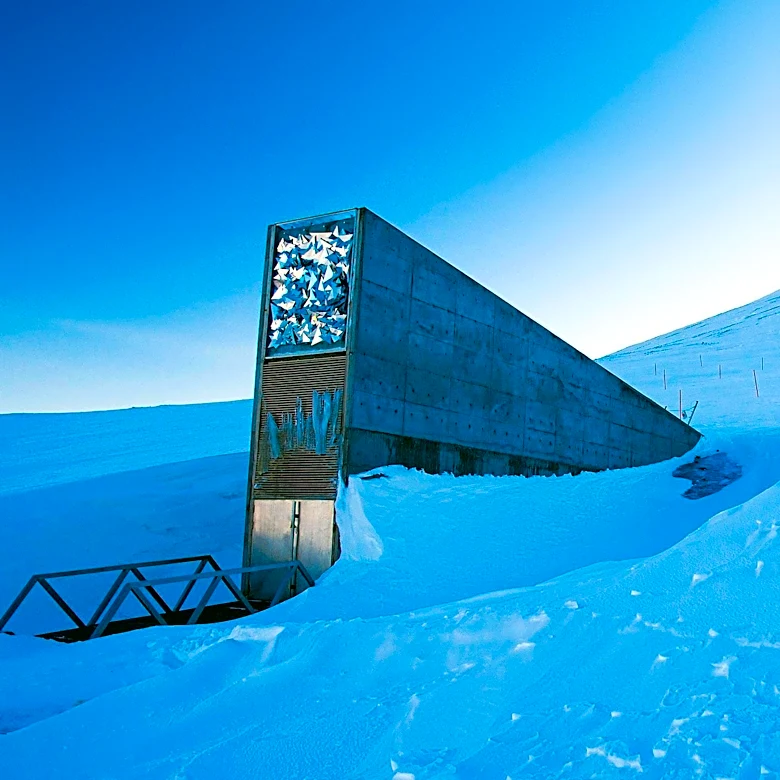 Université Laval Seeks Faculty Position in Arctic Defense and Security to Bolster Research