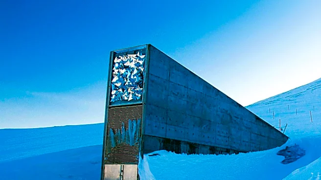 Université Laval Seeks Faculty Position in Arctic Defense and Security to Bolster Research