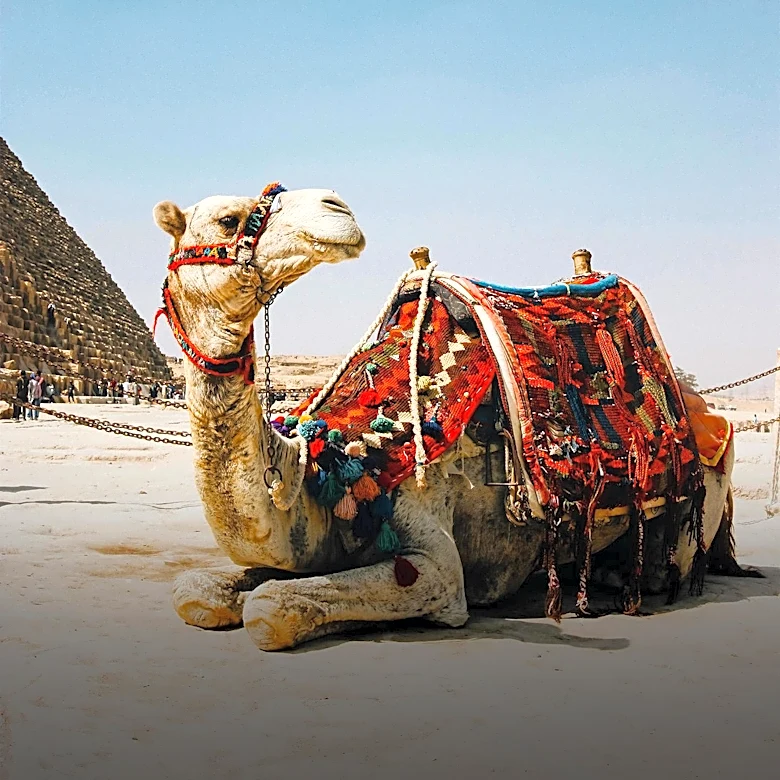 Middle Eastern Nations Unveil Comprehensive Tourism Strategies to Attract Global Travelers