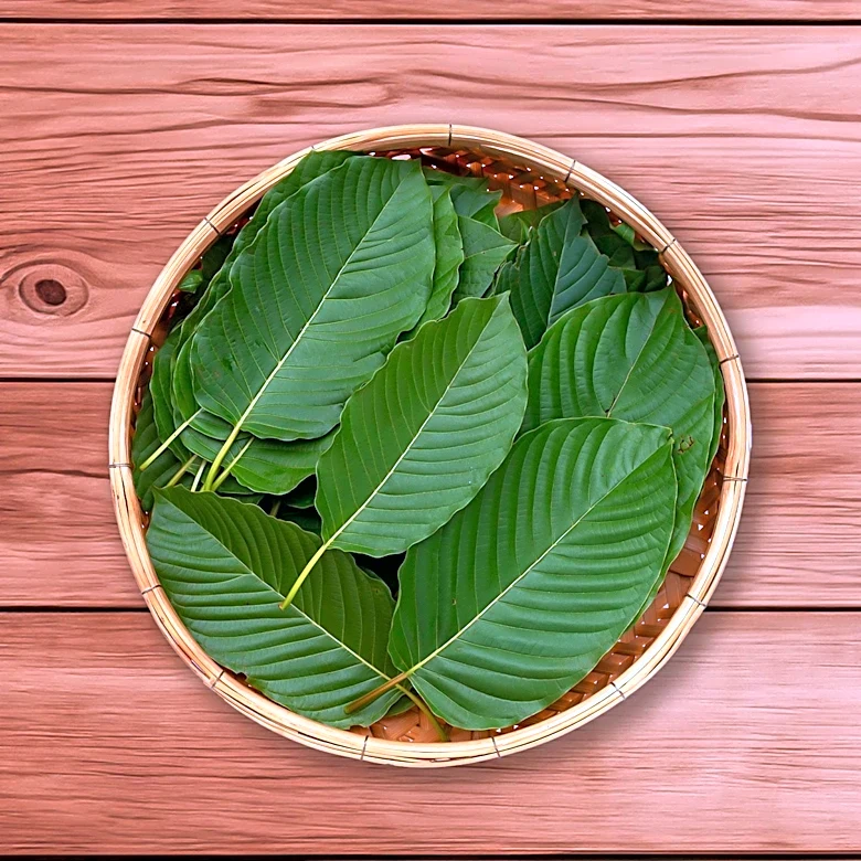 Rep. Tim Turner to Introduce Legislation Banning Kratom Compounds in Oklahoma