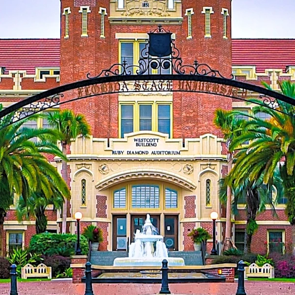 Florida State University Chemists Secure Over $2 Million in NSF Funding for Advanced Materials Research