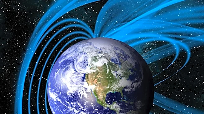 Removal of Earth's Magnetic Field Impacts Fruit Fly Lifespans, Offering Insights into Aging and Space Travel Risks