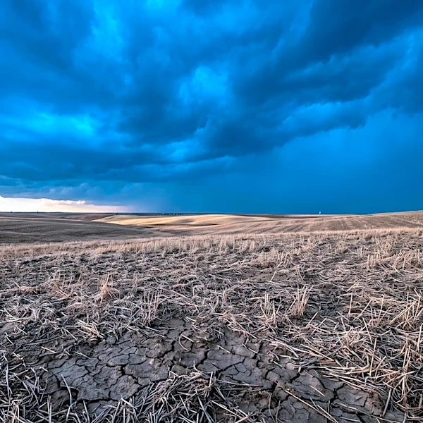 Oklahoma Anticipates Drought Relief as Strengthening El Niño Offers Hope to Agricultural Producers