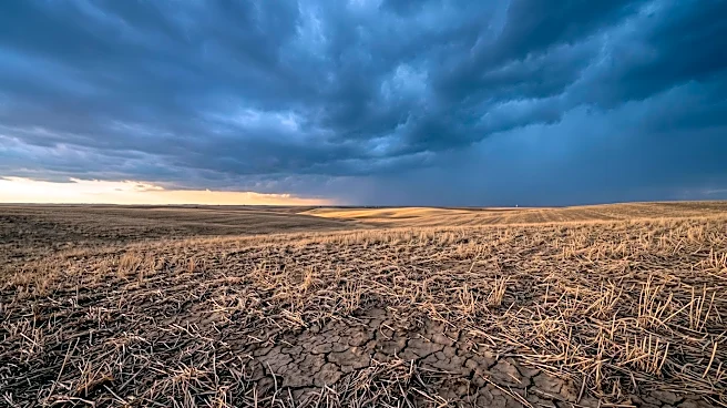 Oklahoma Anticipates Drought Relief as Strengthening El Niño Offers Hope to Agricultural Producers