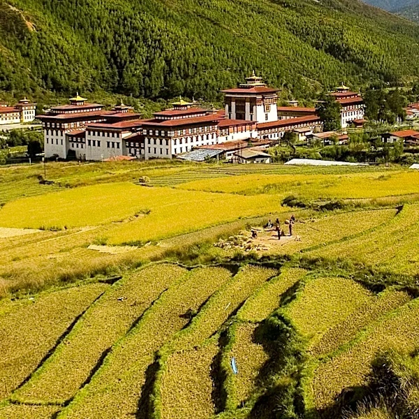 Bhutan Becomes First Nation to Adopt Gross Ecosystem Product at National Level