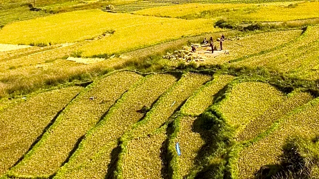 Bhutan Becomes First Nation to Adopt Gross Ecosystem Product at National Level